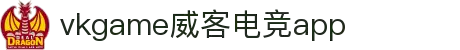 vkgame威客电竞APP-专业电竞游戏研发团队打造